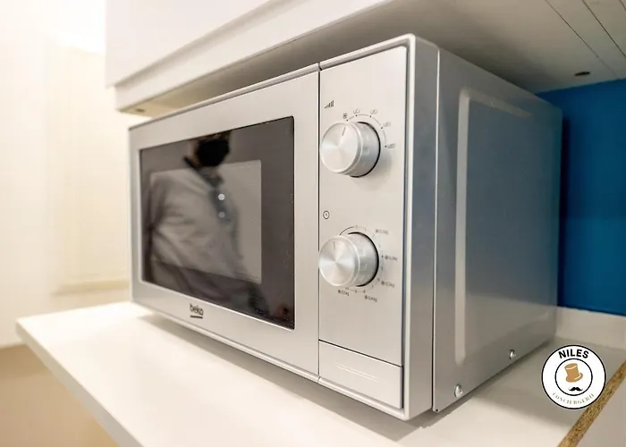 Διαμέρισμα Austudio Pau